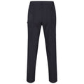 Seal Grey - Back - Regatta Mens Highton Hiking Trousers