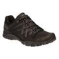 Navy-Burnt Umber - Front - Regatta Mens Edgepoint III Low Rise Hiking Shoes