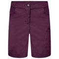 Lunar Purple - Front - Dare2b Womens-Ladies Melodic II Multi Pocket Walking Shorts