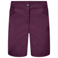 Lunar Purple - Back - Dare2b Womens-Ladies Melodic II Multi Pocket Walking Shorts