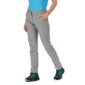 Seal Grey - Back - Regatta Womens-Ladies Highton Walking Trousers