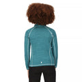 Pagoda Blue - Lifestyle - Regatta Childrens-Kids Berley Half Zip Long Sleeved Top
