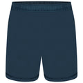 Orion Grey - Front - Dare 2b Mens Surrect Lightweight Shorts