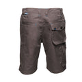 Iron - Back - Regatta Mens Heroic Cargo Shorts