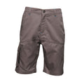 Iron - Front - Regatta Mens Heroic Cargo Shorts