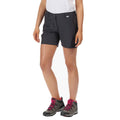 Seal Grey - Back - Regatta Womens-Ladies Highton Mid Walking Shorts