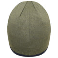 Duck Green-Moonlight - Back - Dare 2B Childrens-Kids Frequent Beanie Hat