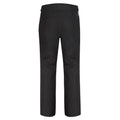 Black - Lifestyle - Dare 2B Mens Ream Ski Pants