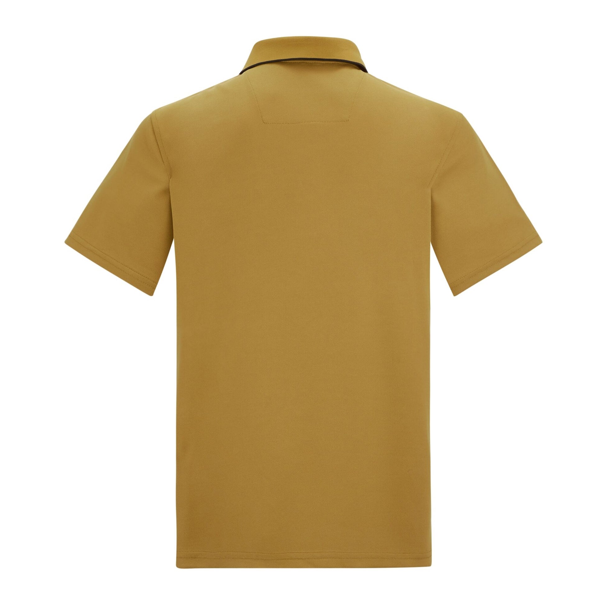 Wood Brown - Back - Regatta Mens Maverick V Active Polo Shirt