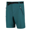 Pacific Green - Close up - Regatta Mens Xert III Stretch Shorts