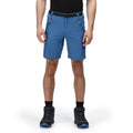 Dynasty Blue - Back - Regatta Mens Xert III Stretch Shorts