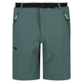 Sea Pine - Front - Regatta Mens Xert III Stretch Shorts