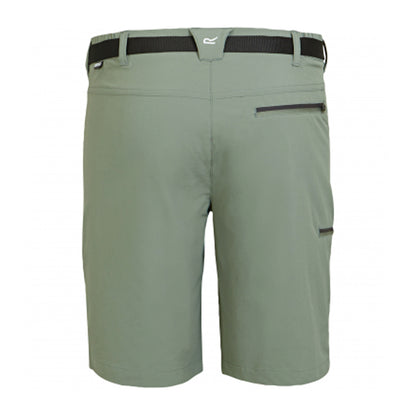 Agave Green - Back - Regatta Mens Xert III Stretch Shorts