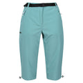 Bristol Blue - Front - Regatta Womens-Ladies Xert Stretch Casual Shorts