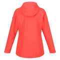 Neon Peach - Back - Regatta Womens-Ladies Hamara III Waterproof Jacket