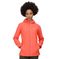 Neon Peach - Lifestyle - Regatta Womens-Ladies Hamara III Waterproof Jacket