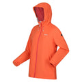 Seal Grey - Front - Regatta Womens-Ladies Hamara III Waterproof Jacket