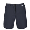 Seal Grey - Front - Regatta Womens-Ladies Chaska II Walking Shorts