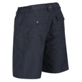 Seal Grey - Front - Regatta Womens-Ladies Chaska II Walking Shorts