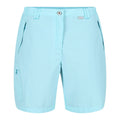 Seal Grey - Close up - Regatta Womens-Ladies Chaska II Walking Shorts