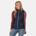 Navy-French Blue - Back - Regatta Womens-Ladies Firedown Down-Touch Insulated Bodywarmer