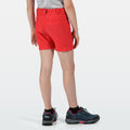 Coral Blush - Back - Regatta Childrens-Kids Highton Shorts