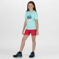 Duchess Pink - Back - Regatta Childrens-Kids Highton Shorts