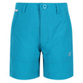 Enamel - Front - Regatta Childrens-Kids Highton Shorts