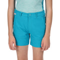 Enamel - Side - Regatta Childrens-Kids Highton Shorts