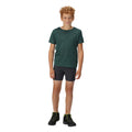 India Grey - Back - Regatta Childrens-Kids Highton Shorts