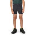 India Grey - Side - Regatta Childrens-Kids Highton Shorts
