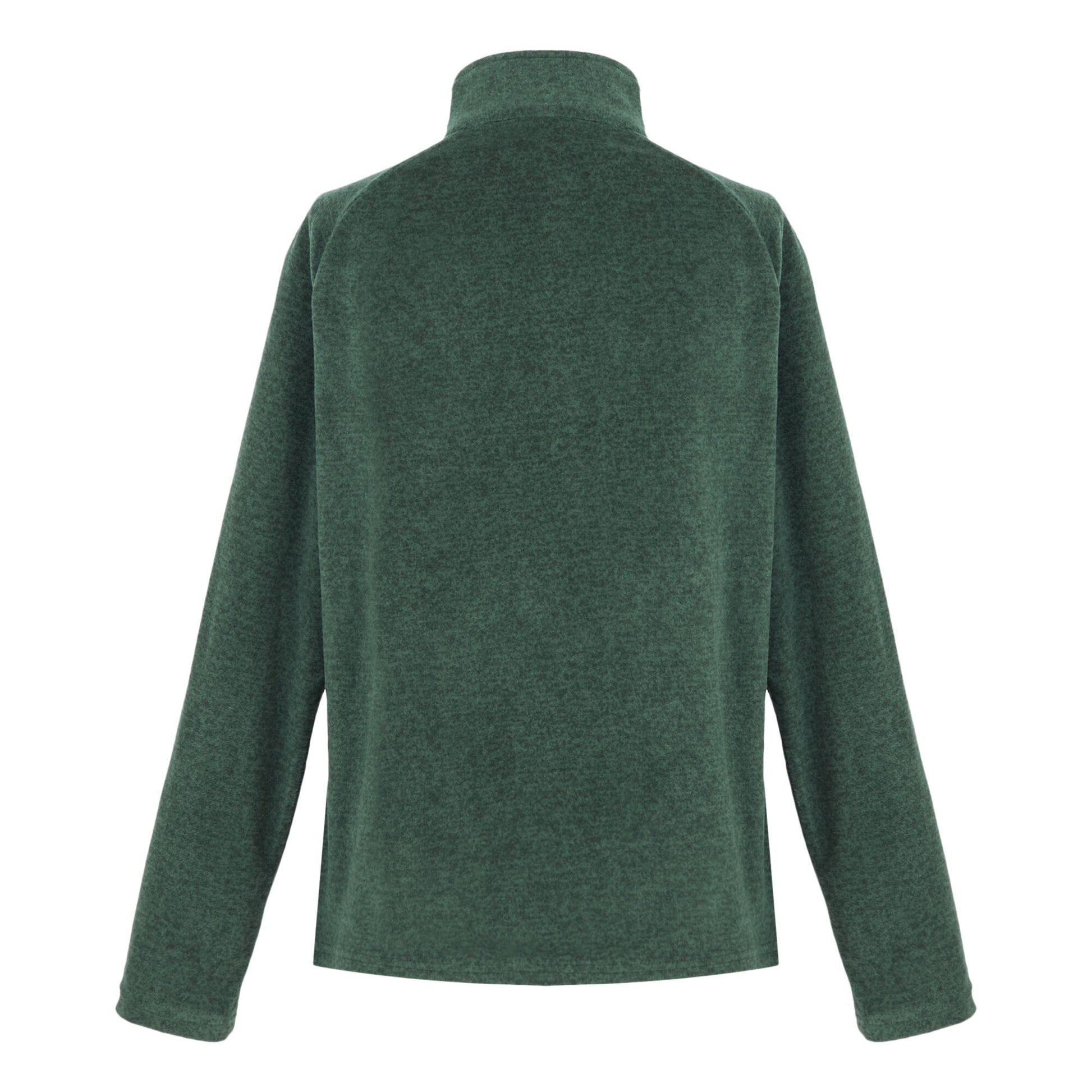 Rainforest - Back - Regatta Womens-Ladies Pimlo Half Zip Fleece