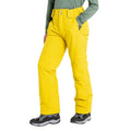 Antique Moss - Lifestyle - Dare 2B Childrens-Kids Outmove II Ski Trousers