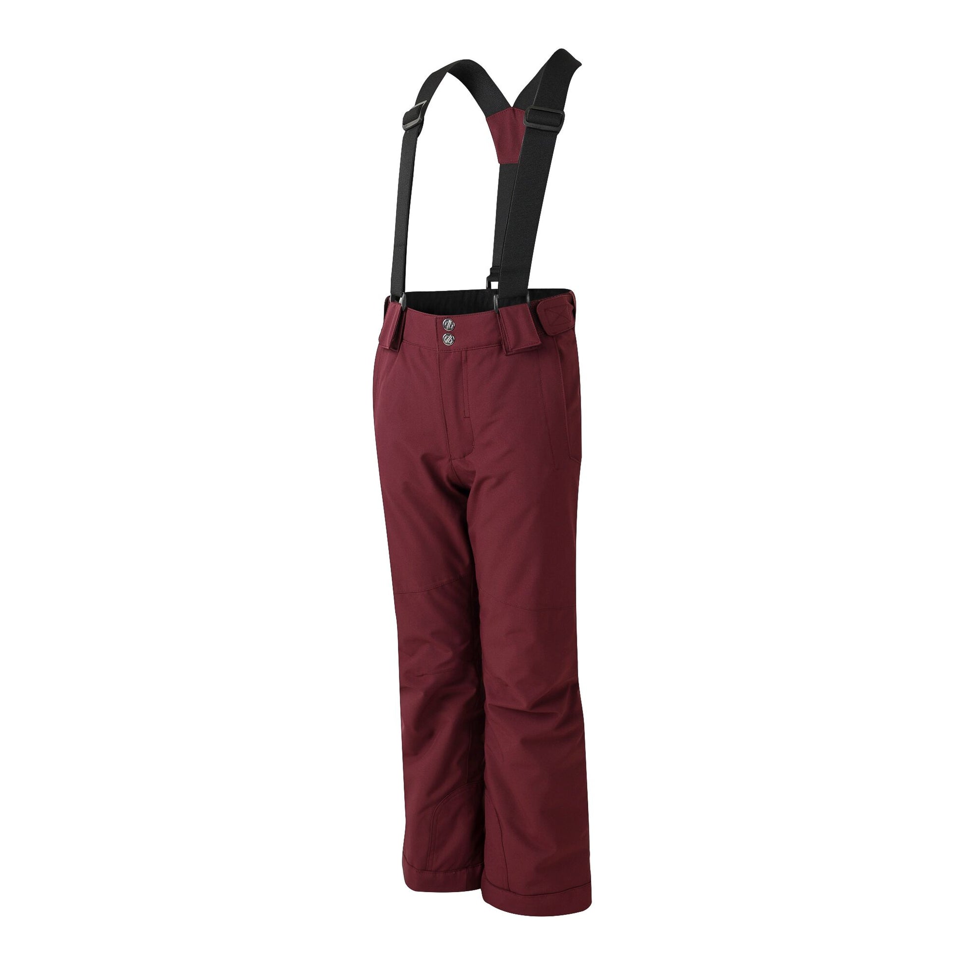 Fig - Side - Dare 2B Childrens-Kids Outmove II Ski Trousers