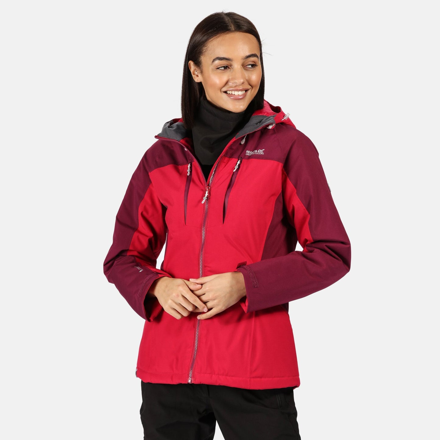 Dark Cerise-Purple Potion - Back - Regatta Womens-Ladies Highton Waterproof Padded Jacket