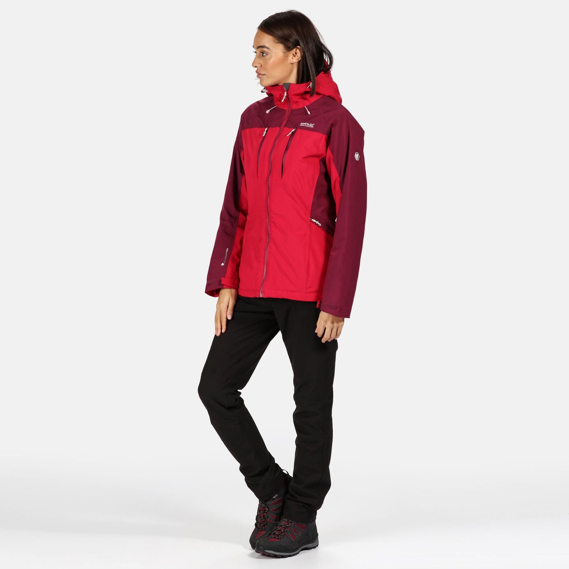 Dark Cerise-Purple Potion - Lifestyle - Regatta Womens-Ladies Highton Waterproof Padded Jacket