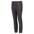 Seal Grey-Apricot Crush - Front - Regatta Childrens-Kids Tech Mountain Hiking Trousers