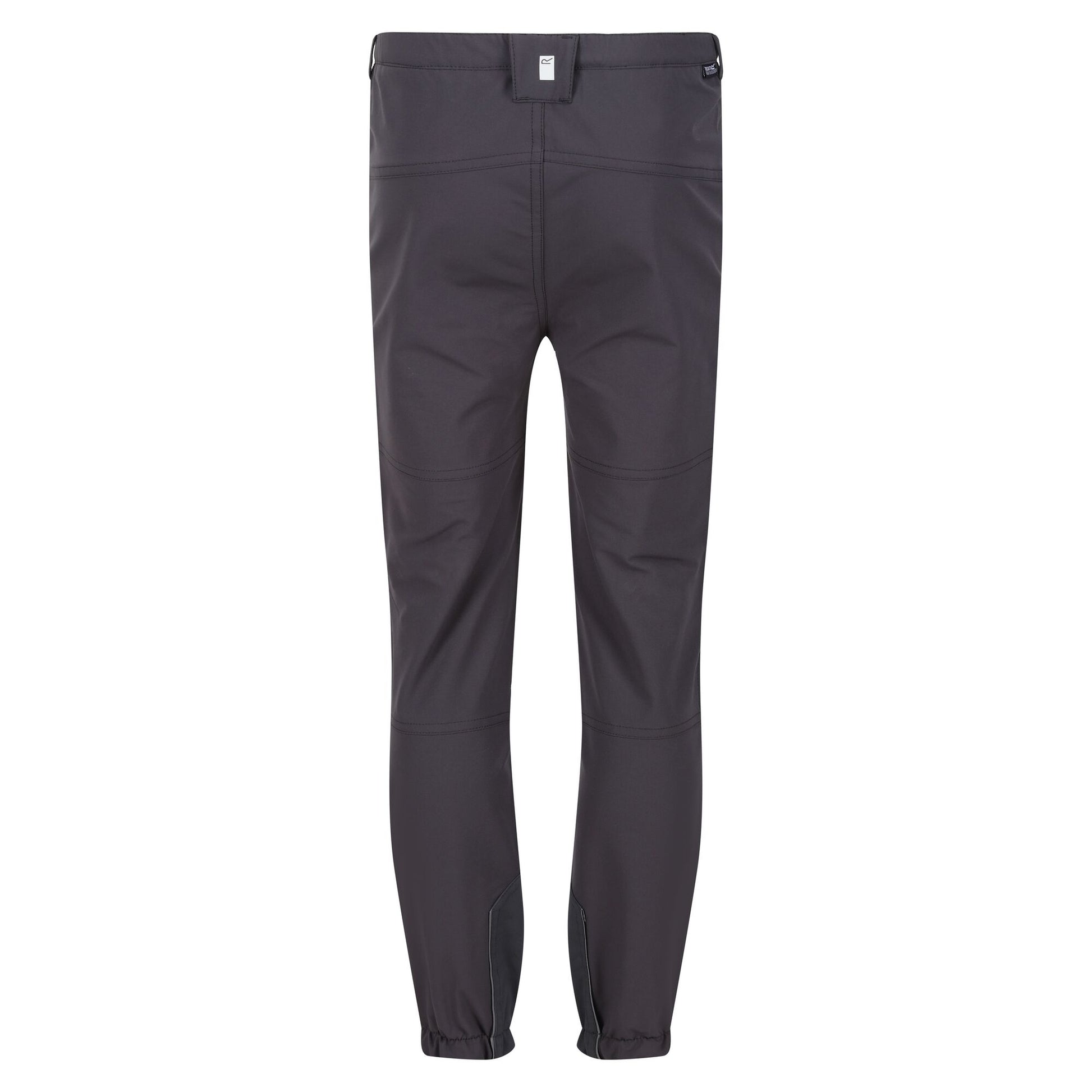 Seal Grey-Apricot Crush - Back - Regatta Childrens-Kids Tech Mountain Hiking Trousers