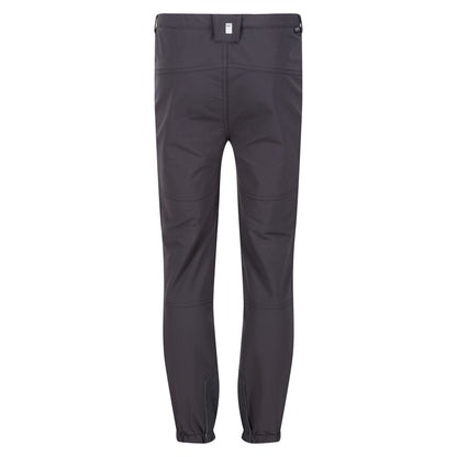 Seal Grey-Apricot Crush - Back - Regatta Childrens-Kids Tech Mountain Hiking Trousers