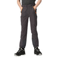 Seal Grey-Apricot Crush - Side - Regatta Childrens-Kids Tech Mountain Hiking Trousers