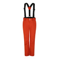 Rooibos Tea - Front - Dare 2B Mens Achieve II Ski Trousers