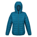 Gulfstream - Front - Regatta Womens-Ladies Helfa Padded Jacket
