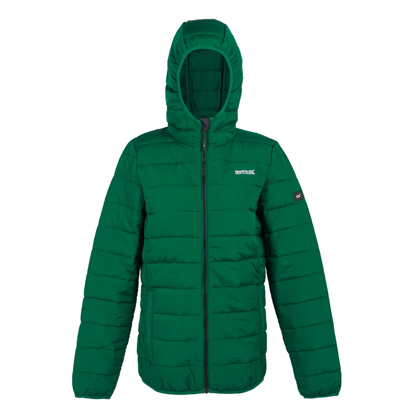 Rainforest - Front - Regatta Womens-Ladies Helfa Padded Jacket