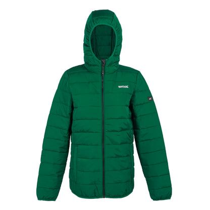 Rainforest - Front - Regatta Womens-Ladies Helfa Padded Jacket