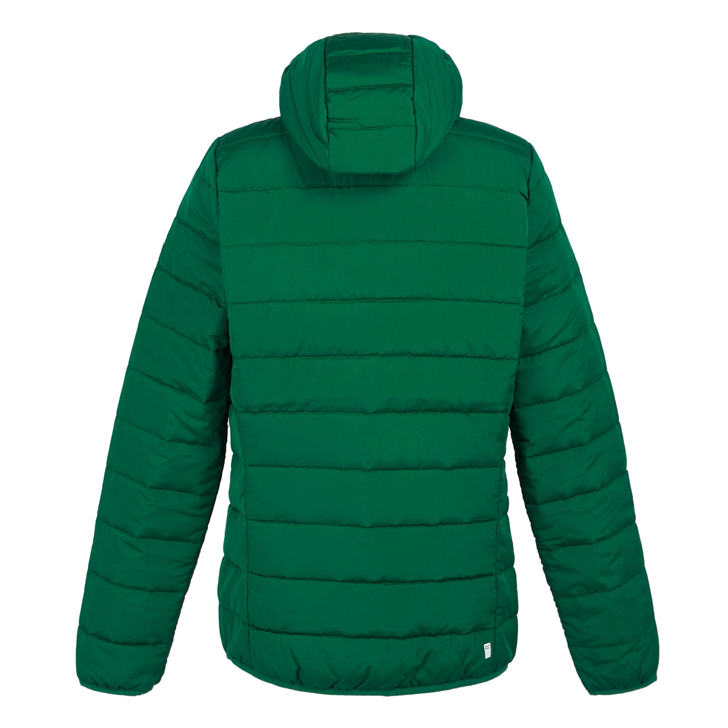 Rainforest - Back - Regatta Womens-Ladies Helfa Padded Jacket
