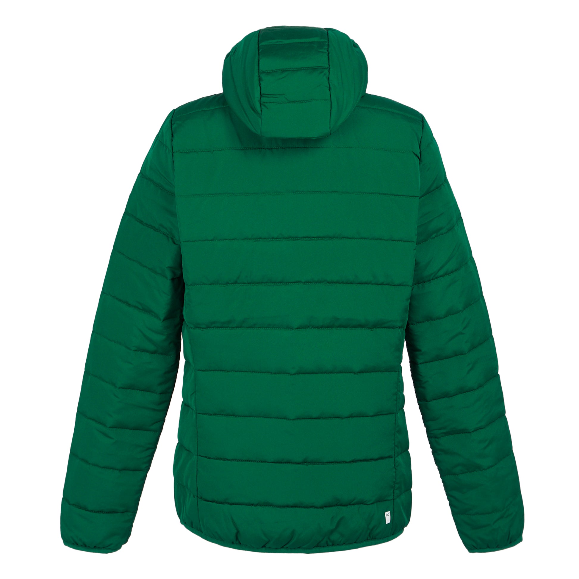 Rainforest - Back - Regatta Womens-Ladies Helfa Padded Jacket