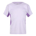 Pastel Lilac-Light Amethyst Marl - Front - Regatta Childrens-Kids Takson III Marl T-Shirt