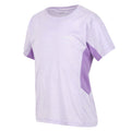 Pastel Lilac-Light Amethyst Marl - Pack Shot - Regatta Childrens-Kids Takson III Marl T-Shirt