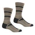 Moccasin Brown-Briar Grey - Front - Regatta Mens Samaris 3 Season Socks (Pack of 2)