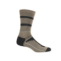 Moccasin Brown-Briar Grey - Side - Regatta Mens Samaris 3 Season Socks (Pack of 2)